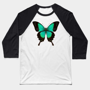 Beautiful butterfly Baseball T-Shirt